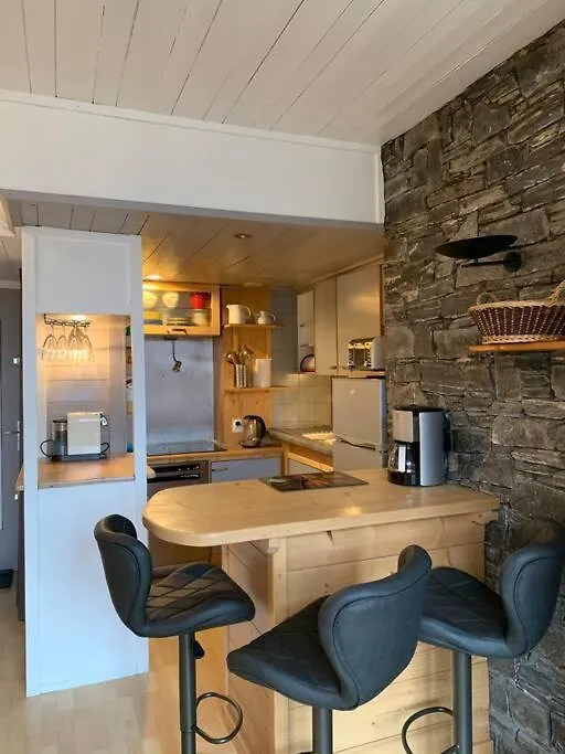 Apartment Mer De Glace Chamonix France